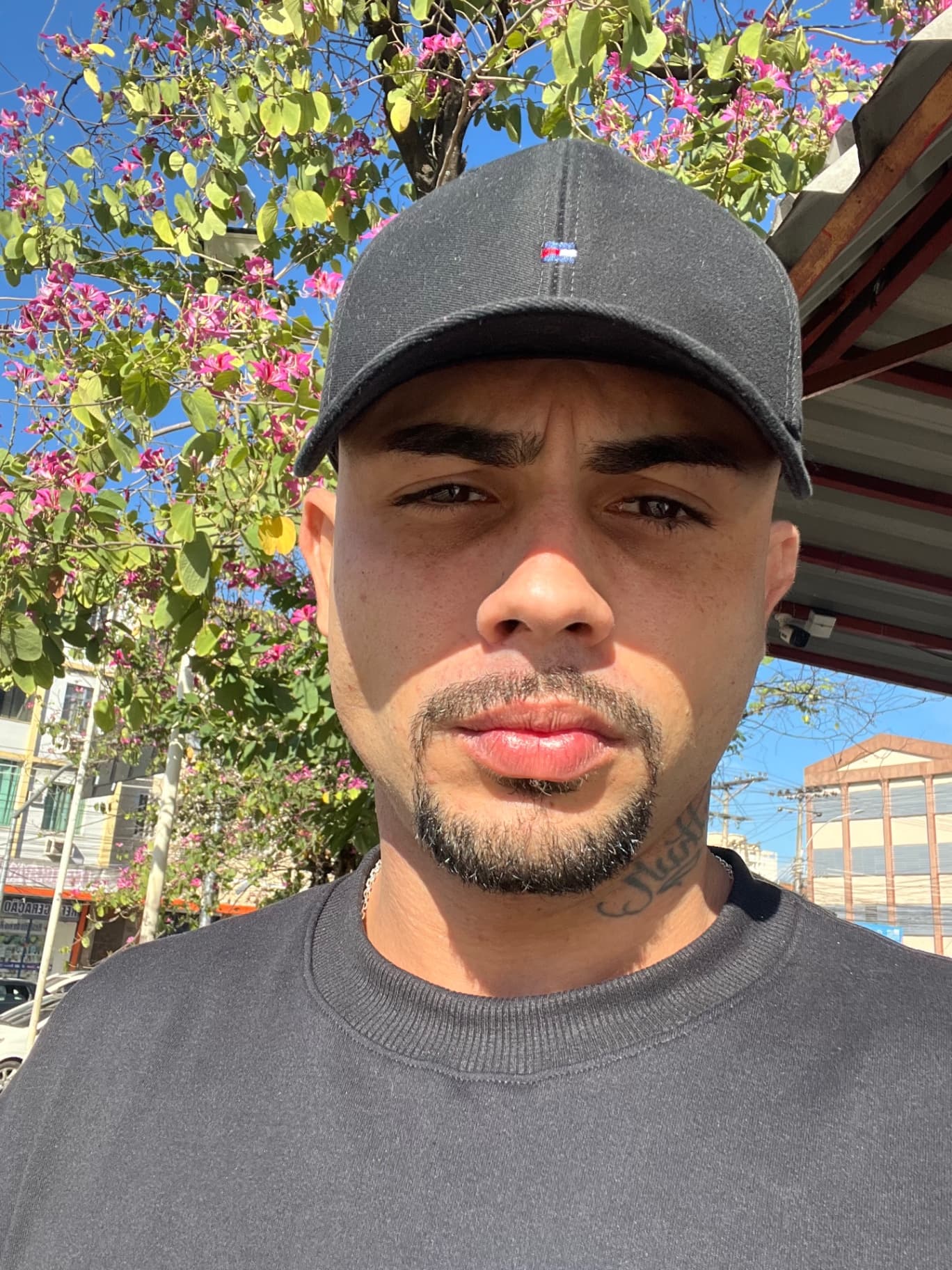 Foto de perfil de Richard Padrão